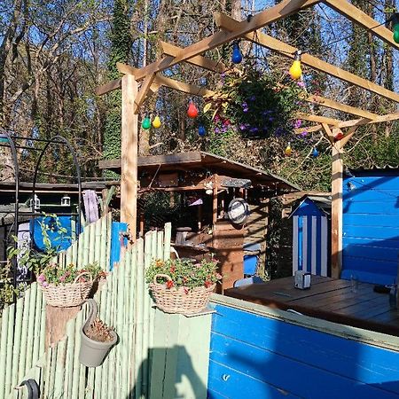 Maison 70M2 Calme Vue Sur Foret Salles (Gironde) Exterior foto